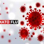 Tomato Flu Symptoms