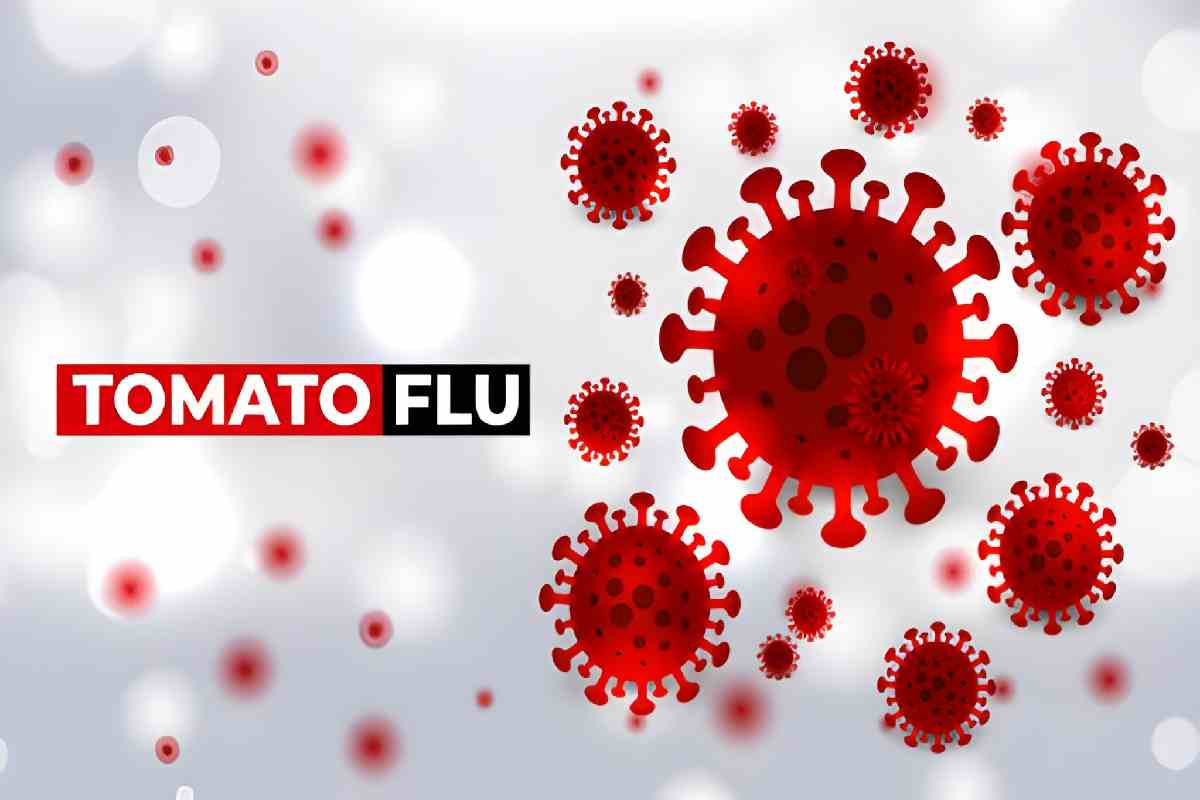 Tomato Flu Symptoms